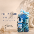 IRIS Potpourri